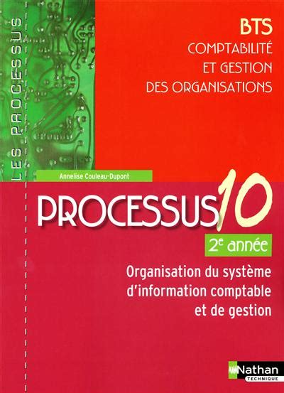 Processus Organisation Du Syst Me D Information Comptable Et De