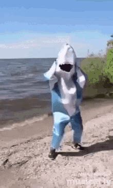 Shark GIFs | Tenor