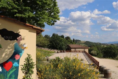 SIENA Wine Destination Inaugurata La Nuova Cantina Di Donatella