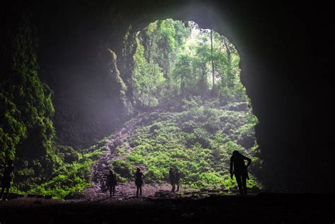 Jomblang Cave, a vertical cave with heaven-sent view - News - The Jakarta Post