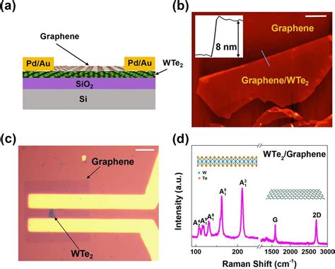 Graphenewte 2 Heterostructure Device A Schematic Illustration Of