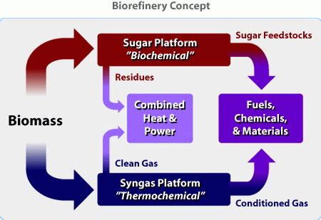 Biorefinery As A Source Of Advanced Biofuels