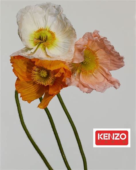 Kenzo Spring Ad Campaign Review The Impression