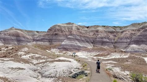 Hiking On The Blue Mesa Trail In Petrified Forest National Park