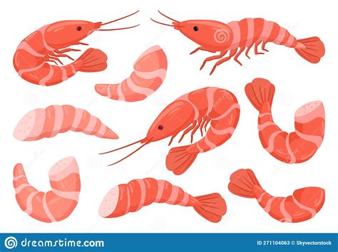 Cartoon Shrimps Raw Or Boiled Seafood Tiger Shrimps Meat King Prawns