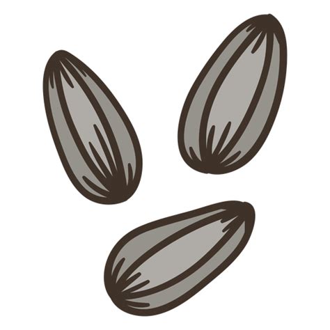 Semi Flat Sunflower Seeds Png And Svg Design For T Shirts