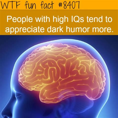 Weird Facts | Others