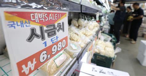 “물가 안 오른 게 없는데 또···” 때 이른 폭우가 서럽다