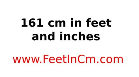 161 Cm In Feet And Inches 161 Cm In Ft And In