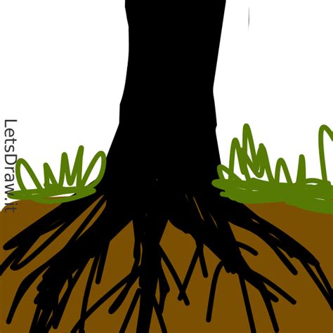 How To Draw Root Xciamebo6 Png LetsDrawIt