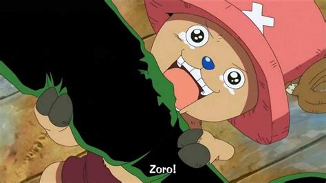 Chopper And Zoro’s Relationship | Wiki | One Piece Amino