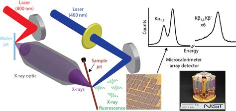 X-Ray Spectrometer