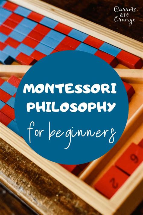 A Beginners Guide To Montessori Theory Montessori Theory Montessori