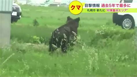 クマの目撃情報 相次ぐ北海道 札幌市内では人里近く出没繰り返すオス1頭を駆除札幌市は「ヒグマ対策重点エリア」を設定 北海道ニュース Uhb Uhb 北海道文化放送