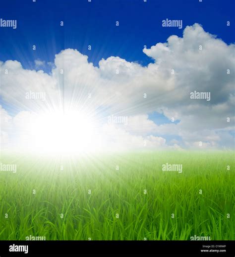 green grass and sky Stock Photo - Alamy