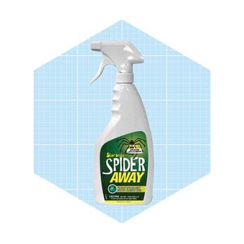 8 Best Spider Repellents | Family Handyman