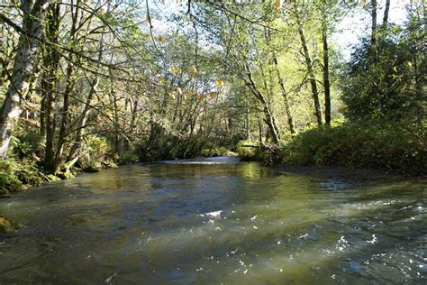 Readying For Restoration North Olympic Land Trust