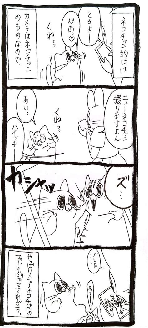 ネコチャン】カメラはネコチャンのもの 」うさぎのみみちゃん😇愛媛エミフルmasakiにて32526の漫画