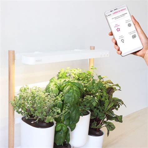 Der Wandelbare Und Smarte Indoor Garten Mit Vernetzbarer Leuchte Mit