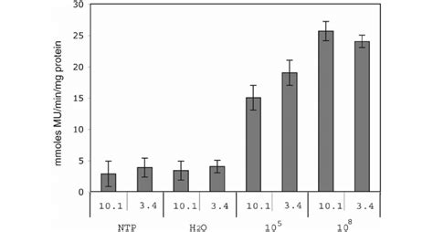 Glucuronidase Gus Activity In Transgenic Pcgmt Gus Arabidopsis