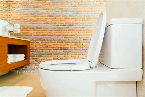 Débouchage des toilettes qui débordent tout ce quil faut savoir pour