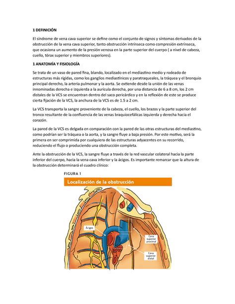 S Ndrome De Vena Cava Superior Expos Definici N El S Ndrome De