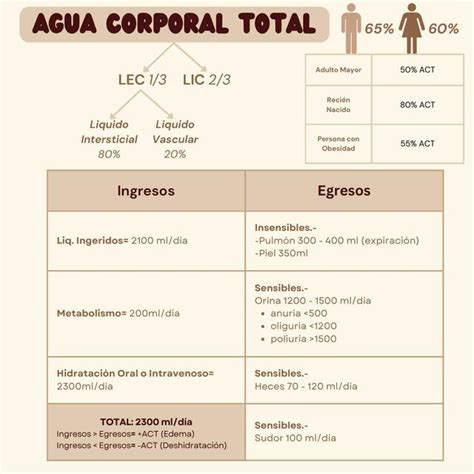 Agua Corporal Total Hot Sex Picture