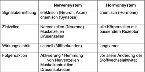 Nervensystem Karteikarten Quizlet