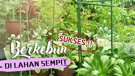 Eps Sukses Berkebun Di Lahan Sempit Lahan Sempit Tetap Bisa