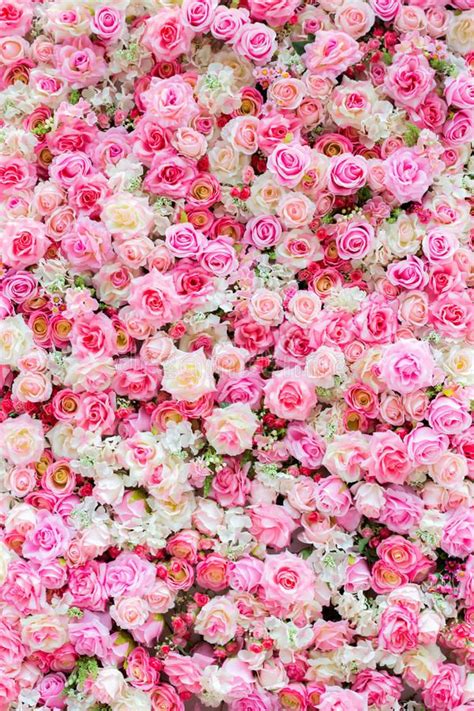 Many Pink And White Flowers Are Arranged In The Shape Of A Flower