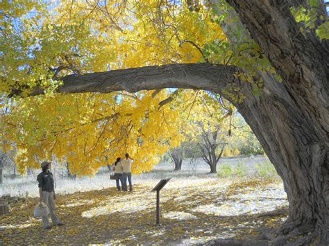 UPS Shipping and Logistic Services in Cottonwood Heights 26