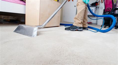 Superb Carpet Cleaning Services In Denver Co 80237