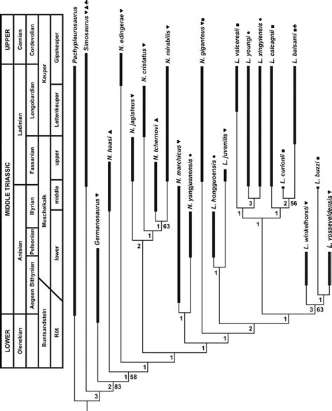 Strict Consensus Tree Indicating The Phylogenetic Relationship Of