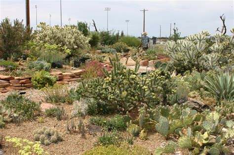 Colorado State University Extension Tri River Area Grand Junction