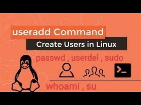 Linux Powerful Commands Sudo Useradd Passwd Userdel Whoami Su