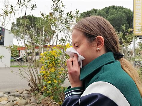 Allergie Aux Pollens Toulouse Et La Haute Garonne En Alerte Rouge