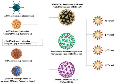 Understanding Which COVID-19 Variant You Have: A Closer Look - The Tech