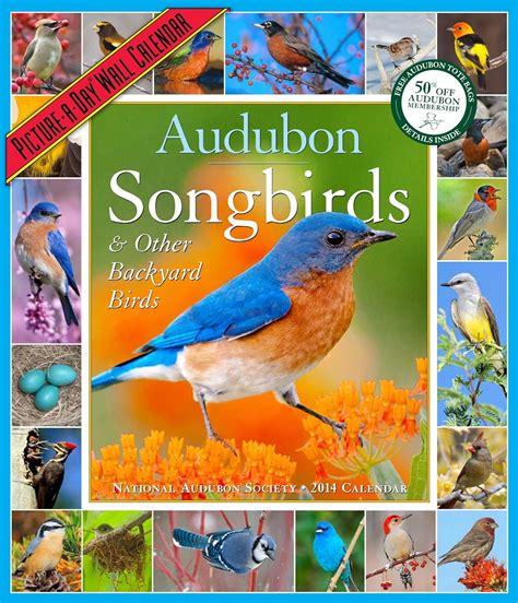 Audubon Songbirds And Other Backyard Birds 2014 Calendar National Audubon Society 9781579655198