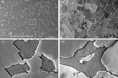 Frontiers Influence Of Solidification Microstructure On Mechanical