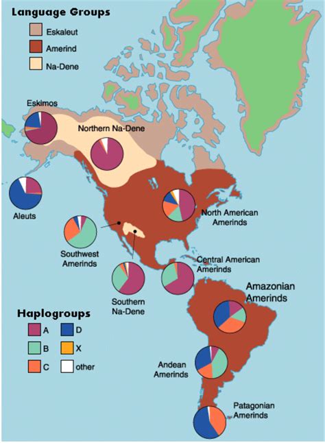 Found this map showing Native American haplogroup frequency in the ...