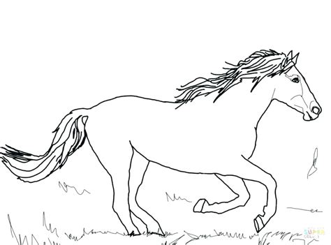 Black Stallion Coloring Pages at GetDrawings | Free download