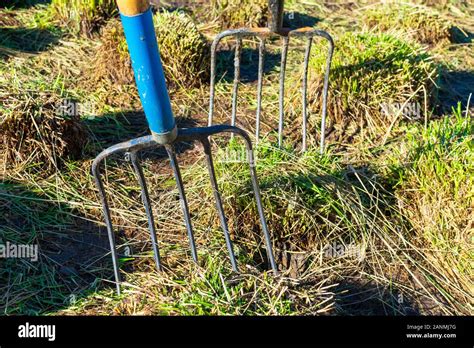 Pitchforks Hi Res Stock Photography And Images Alamy