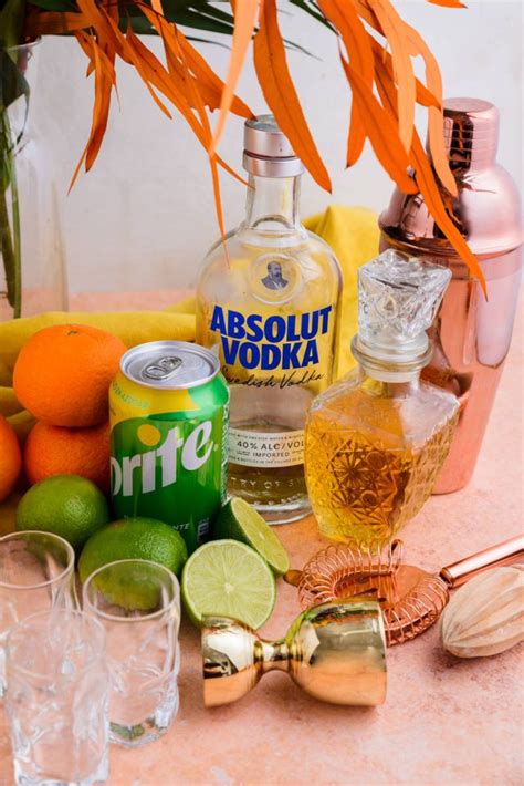 Citrus Cactus Cooler Shot Recipe — Sugar & Cloth