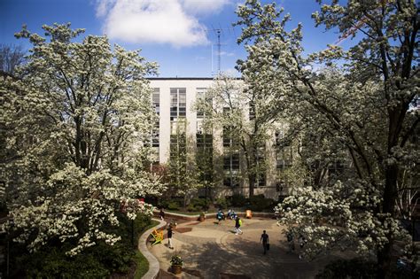 Northeastern Universitys Boston Campus Has Been Officially Recognized