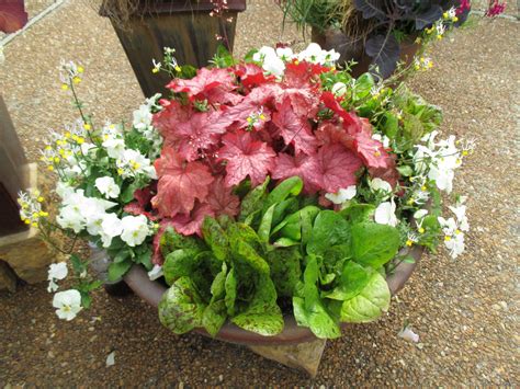 Spring Containers on a Rainy Day | Rotary Botanical Gardens