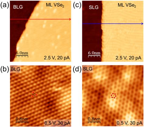 Stm Topographic Images Of Ml Vse Grown On A Blg And C Slg B And