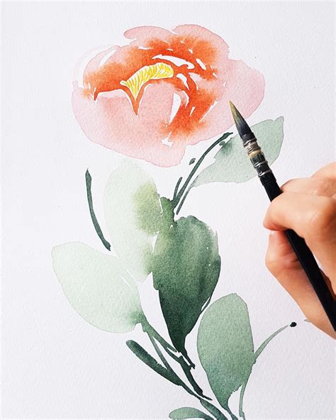 Pivoines à l'aquarelle | Acuarela