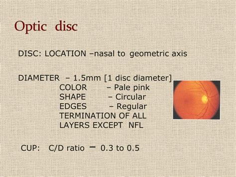 Fundus examination | PPT