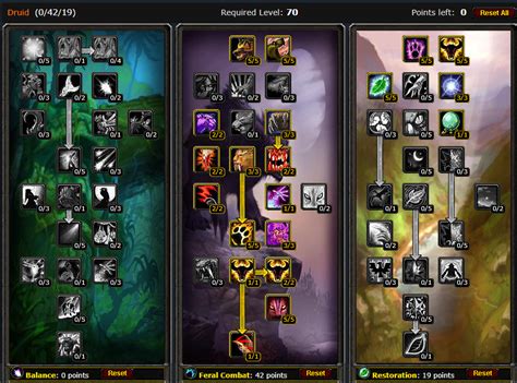 PVE TBC Feral Druid DPS Guide Short