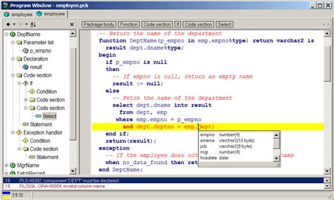 Plsql Developer Información Ampliada Danysoft